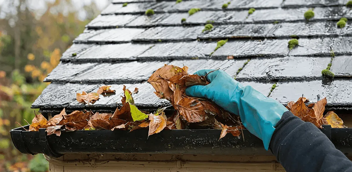 Gutter cleaning technician clearing wet leaves from roof gutters in Omaha, NE